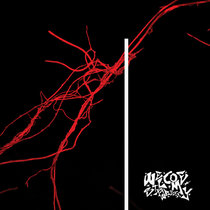Mercury Rev【See You On The Other】 61dEnkoUUnL._UF1000,1000_QL80_.jpg