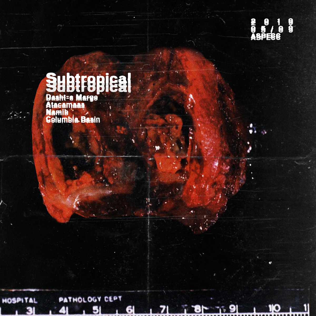 Subtropical | ASPECC