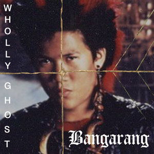 Bangarang (Skrillex Cover) cover