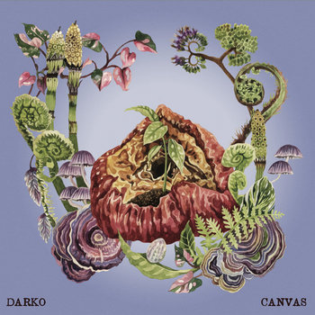 Album artwork for Canvas