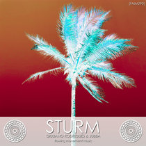 [FMM290] Sturm cover art