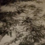 stfnymoor - II. WaiMoRightTheforMentting / Dematerializing
