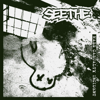 Album artwork for Mass Casualty Incident