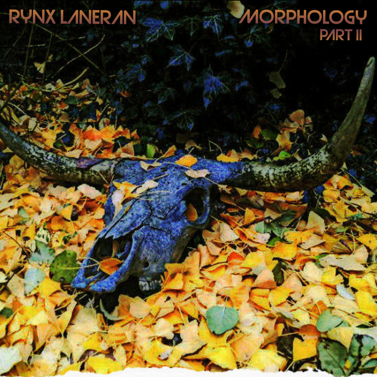 Morphology, Pt. 2 cover