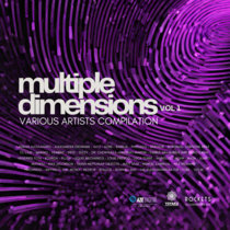 G-SERIES005 / Multiple Dimensions / V.A Compilation cover art