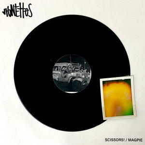 VIGNETTES VOL. 1 cover