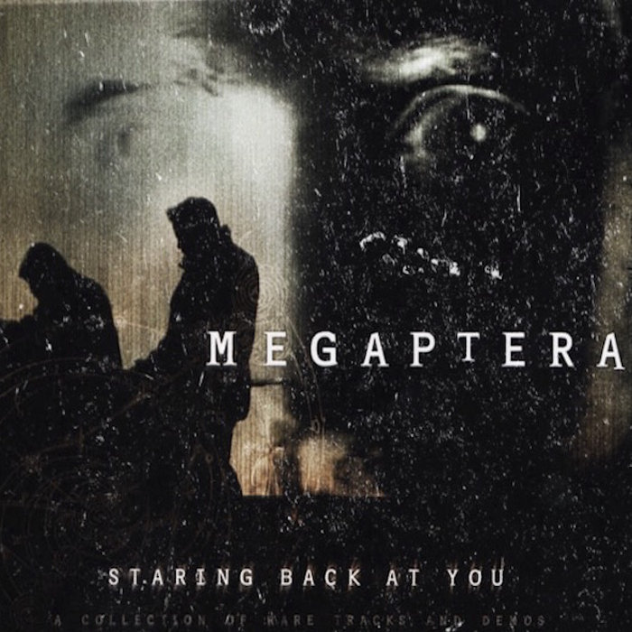 Staring back at you | Megaptera