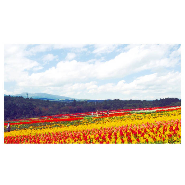 kojikojiページ 日月日日青 | kojipull