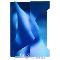 Squid — Terrestrial Changeover Blues (2007 - 2012)