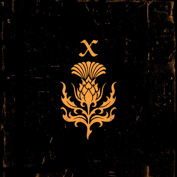 X Rodeo Design X | Rodeo