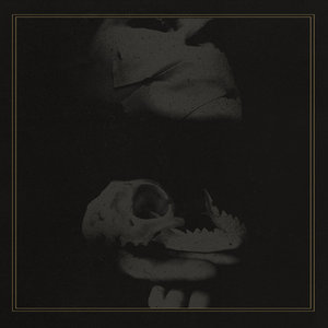 Night Terrors cover