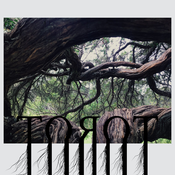 Torot | Torot
