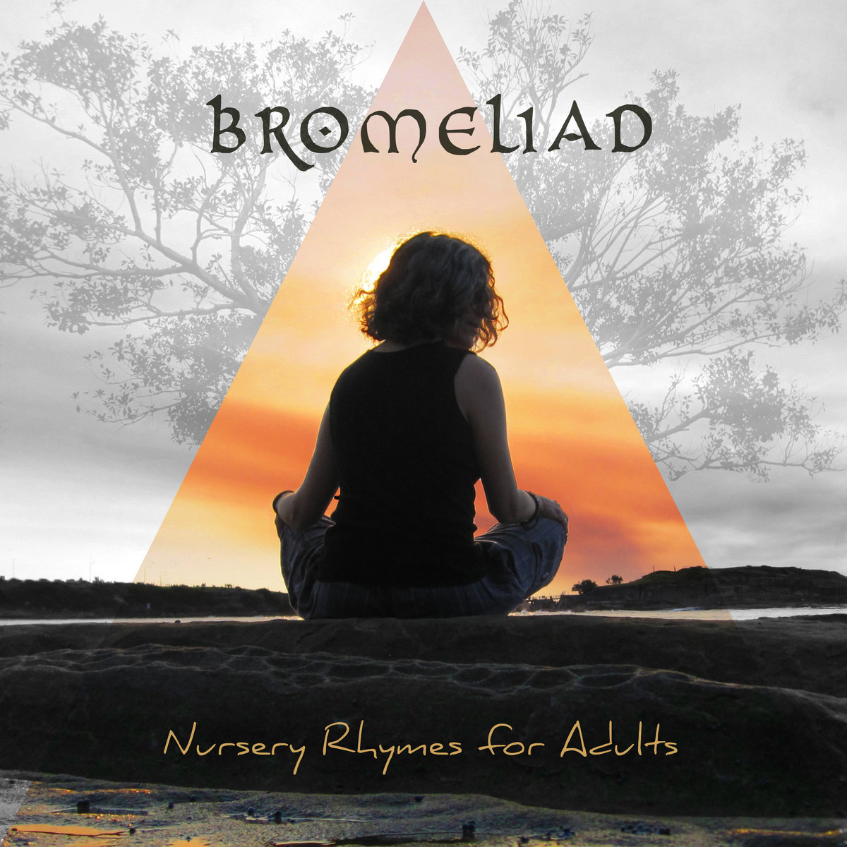 Culture Of Make Believe Bromeliad