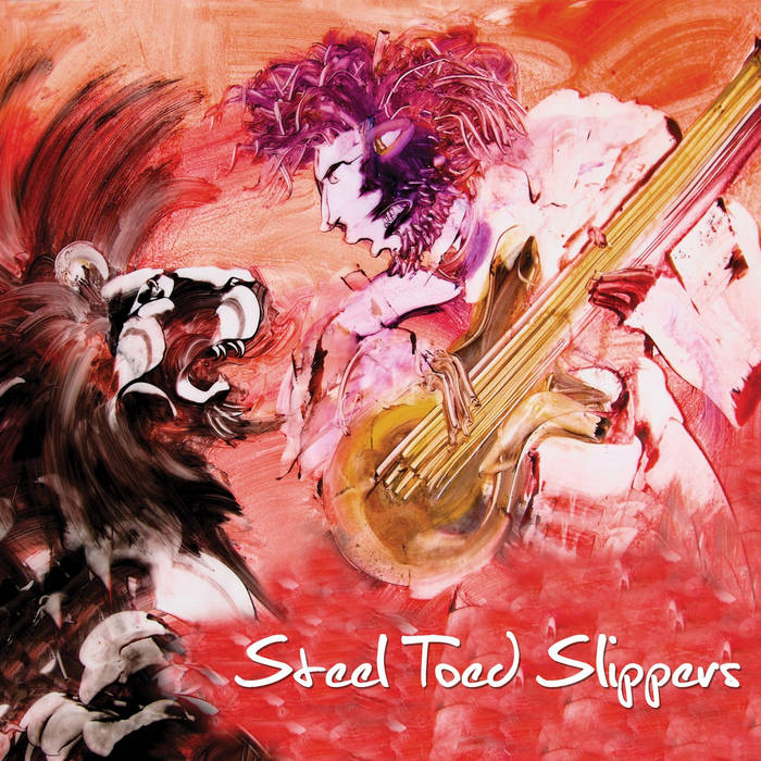 Steel Toed Slippers Steel Toed Slippers