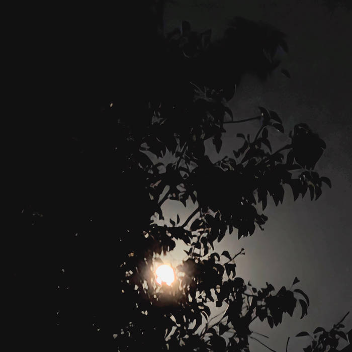 Auditory Cortex - Gonna Get Lost for a While