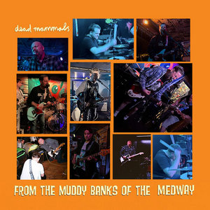 From the Muddy Banks of the Medway cover