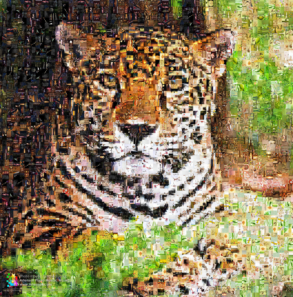 Artensoft Photo Collage Maker 1 2 50 Crack Kempayfreddero