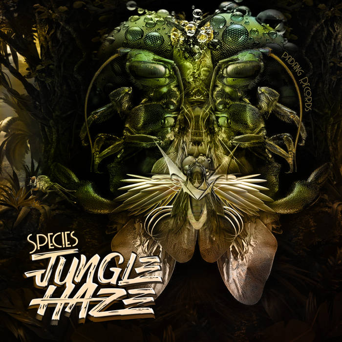 Jungle Haze — Species