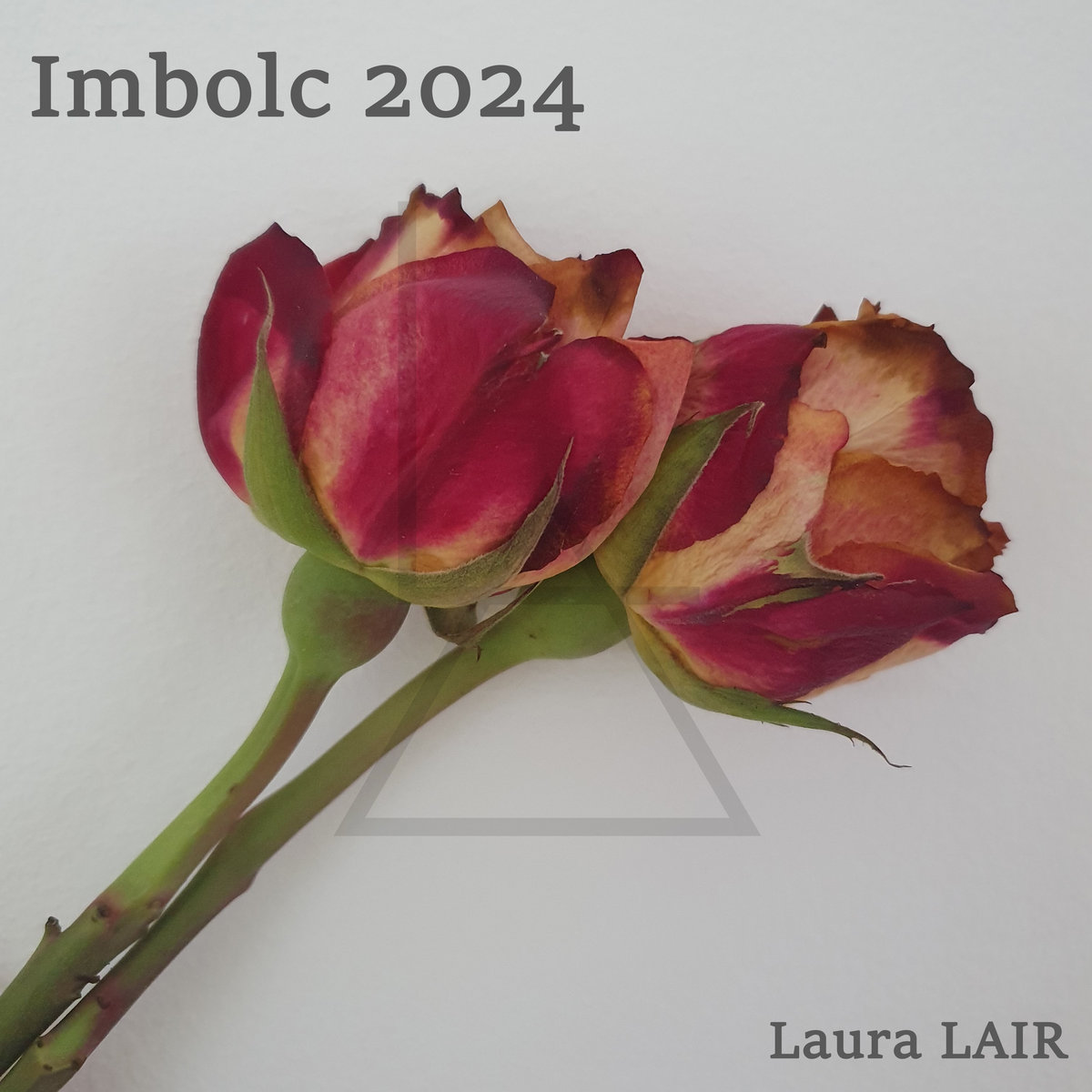 Imbolc 2024 cover
