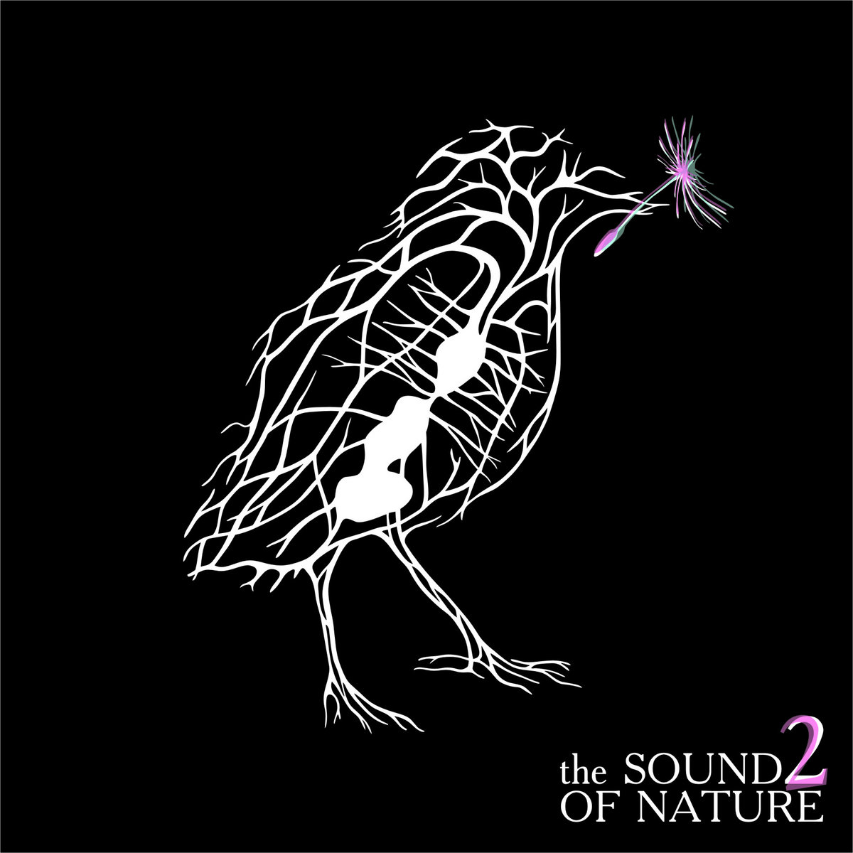 The Sound of Nature 2 | Various Artists | Cold Tear Records
