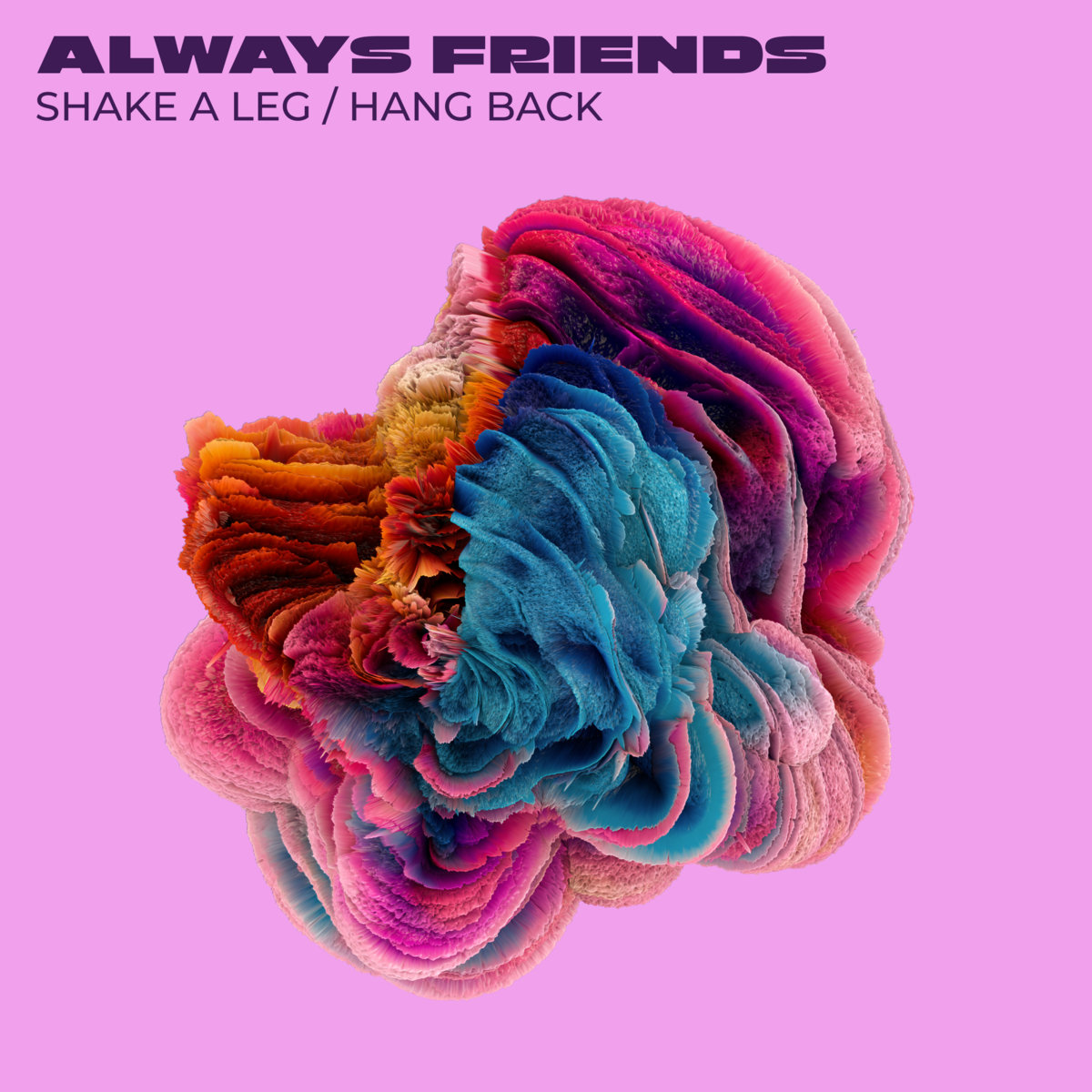 Shake A Leg / Hang Back | Always Friends