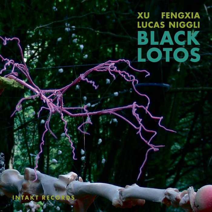 Black Lotos | XU FENGXIA - LUCAS NIGGLI | Lucas Niggli