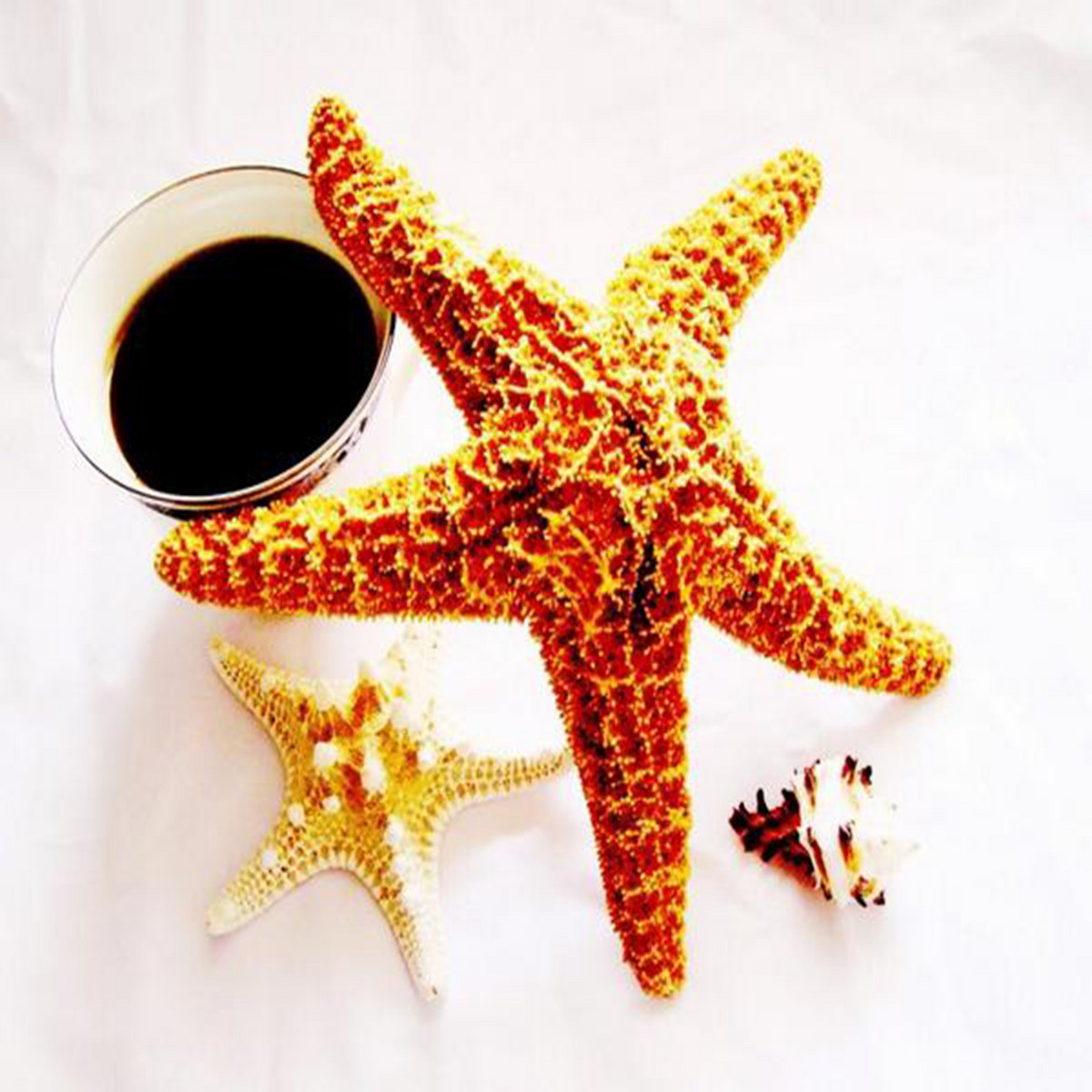 starfish and coffee