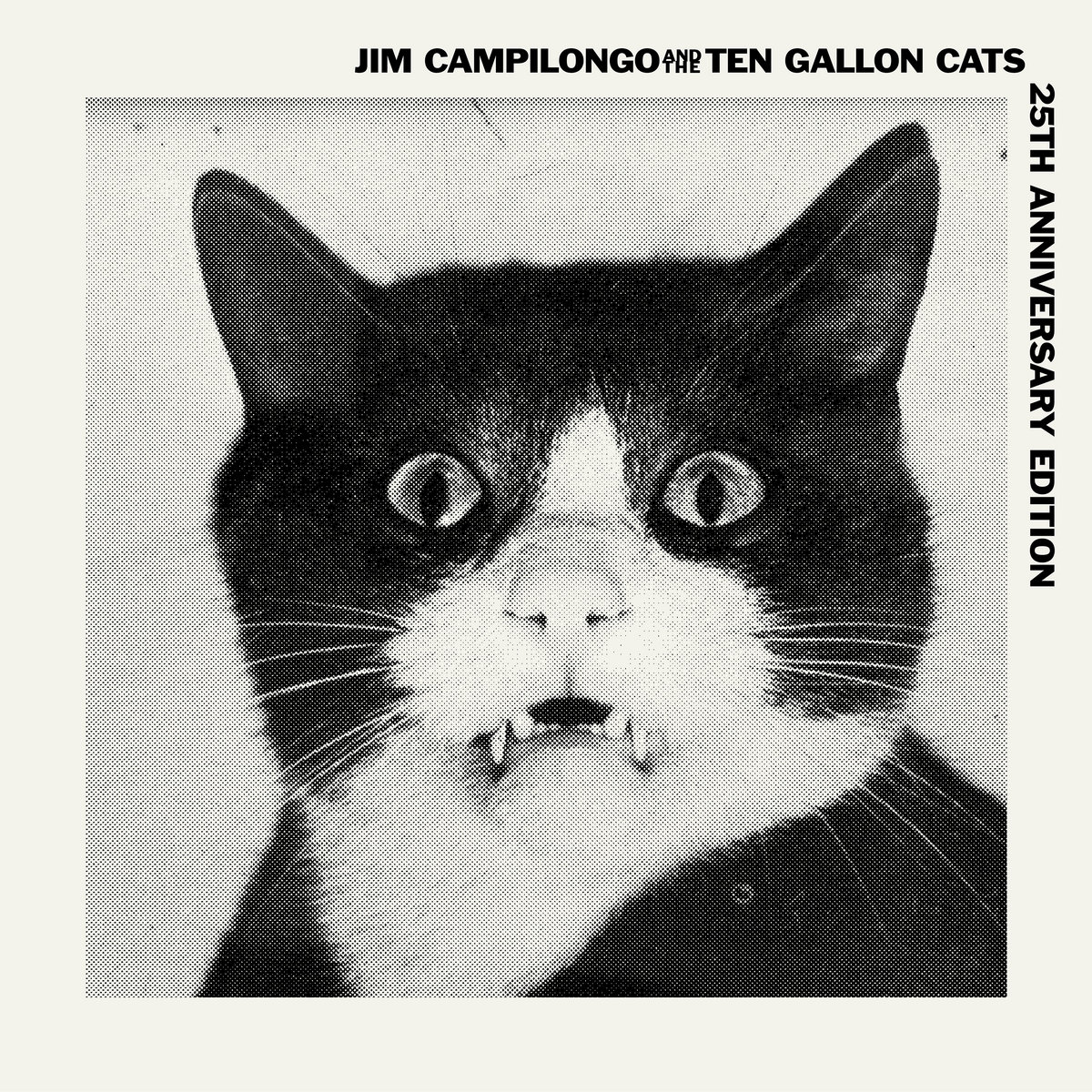 Jim Campilongo and the Ten Gallon Cats 25th Anniversary Edition