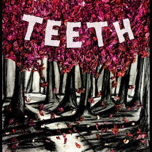 teeth cover