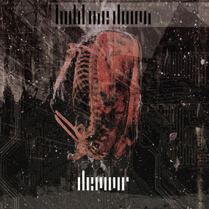 Hold Me Down — Devour