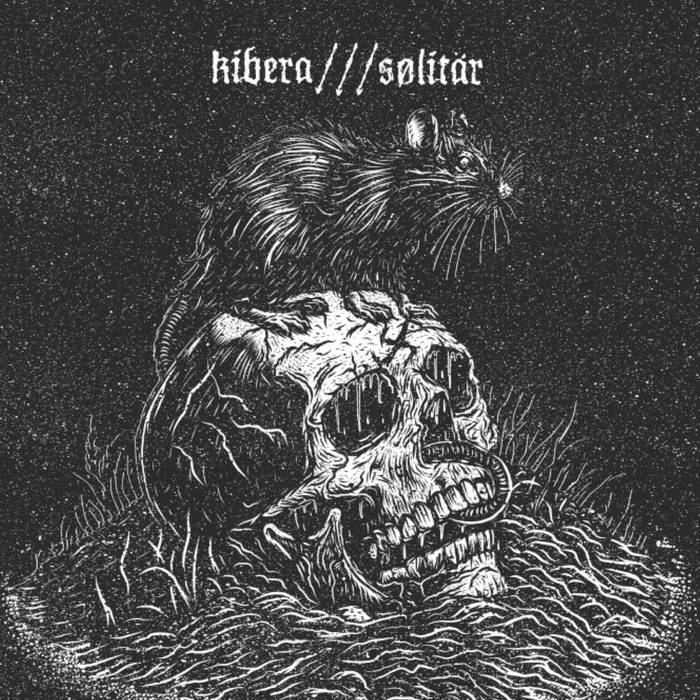 Bring The Drones Ignorance Paradise LP phobiarecords