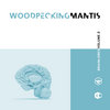 woodpeckingmantis.bandcamp.com