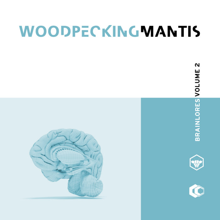 woodpeckingmantis.bandcamp.com