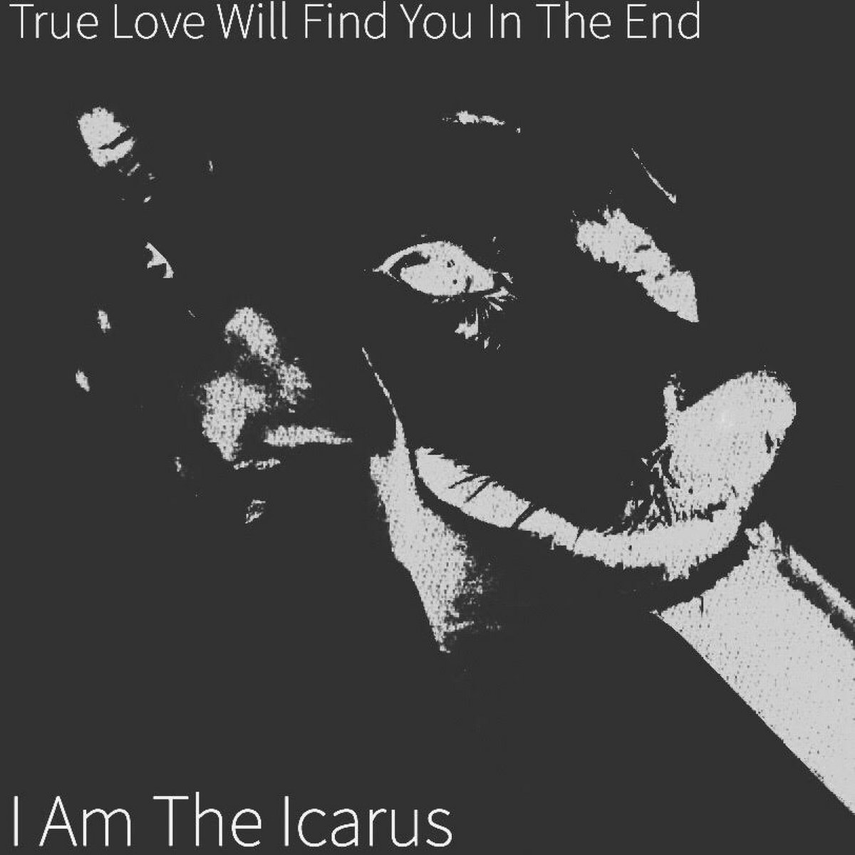 True Love Will Find You in the End, Vários Artistas