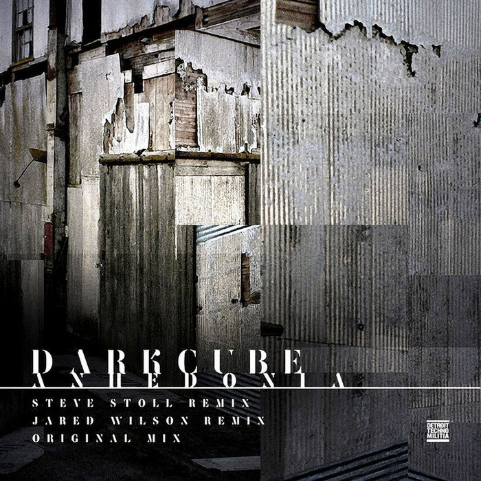 Anhedonia | darkcube | Detroit Techno Militia