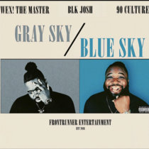 Gray Sky, Blue Sky cover art