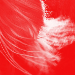 i’m in love...Andy Bell feat. Dot Allison and Michael Rother cover
