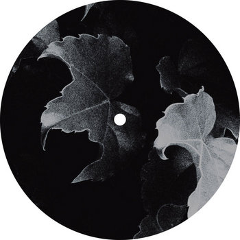 Message Of Sound, Pt. 1 | STL | Echocord