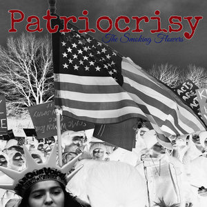 Patriocrisy cover