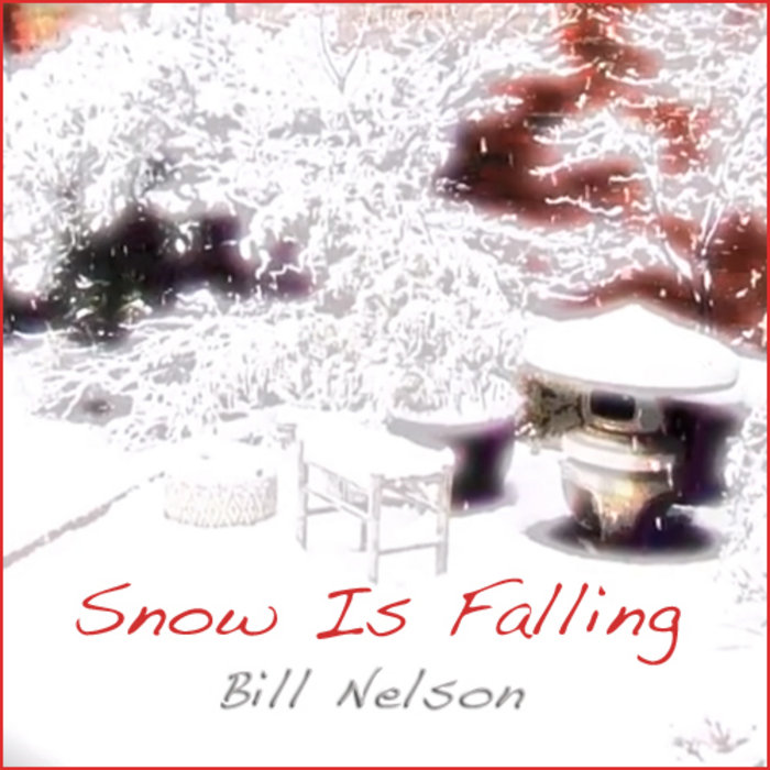 Snow Falling Book Summary / Snow Falling On Cedars David Guterson