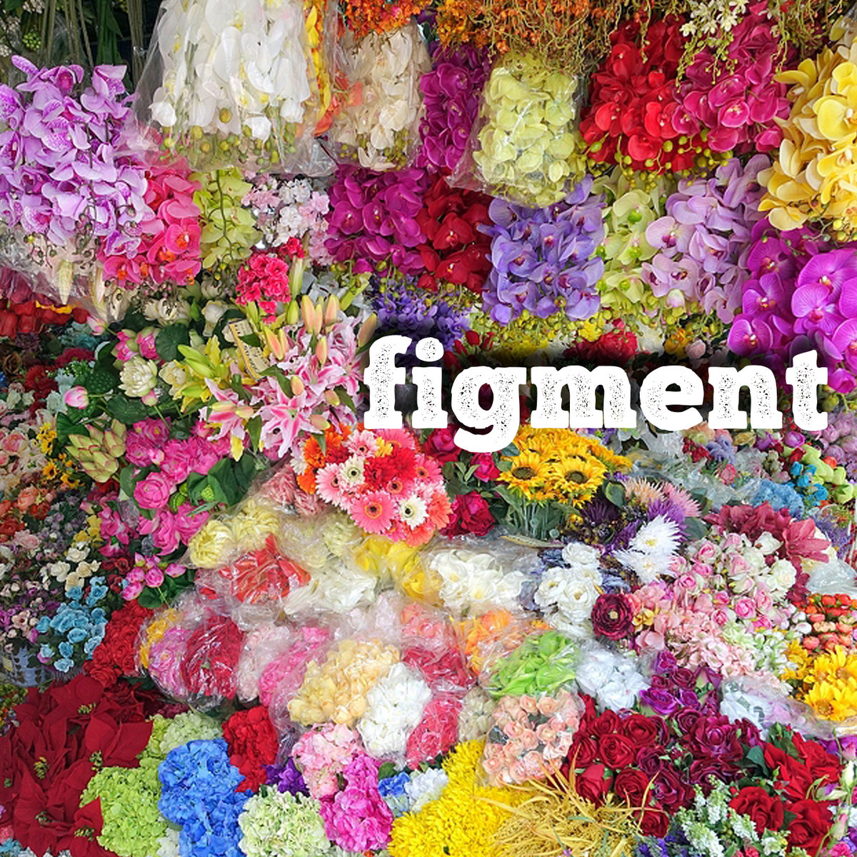 Figment cover
