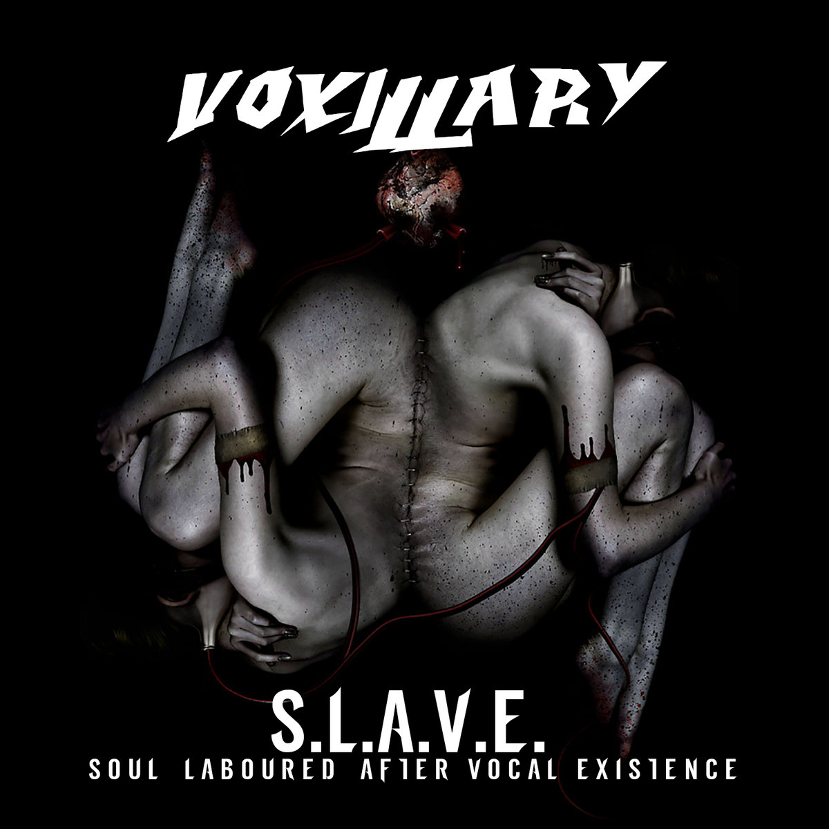S.L.A.V.E. Soul Laboured After Vocal Existence cover
