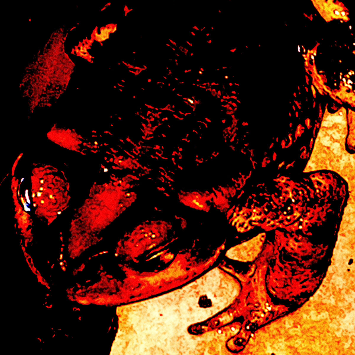 Sankebetsu Brown Bear Incident | Lord Cernunnos | Nature Noise Wall