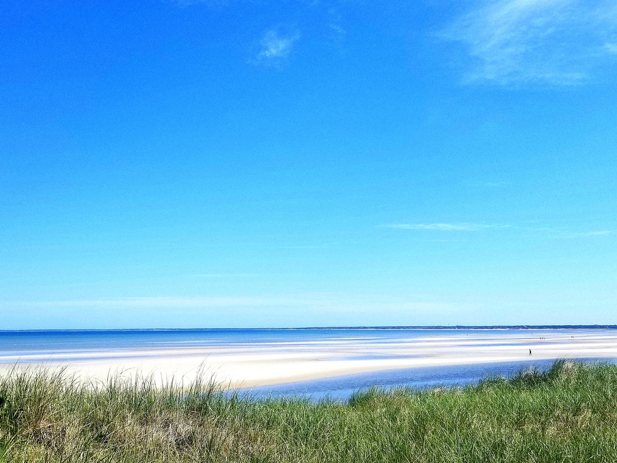 Nights in Austin Jason LaFleur