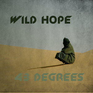 43 Degrees cover