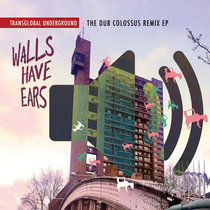 Transglobal Underground — Walls Have Ears, the Dub Colossus Remix EP