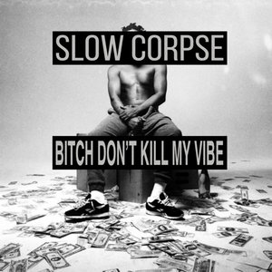 Slow Corpse — Kendrick Lamar - Bitch, Don't Kill My Vibe (Slow Corpse Recut)