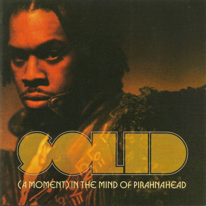 SOLID: (a moment in the mind of Pirahnahead) | Pirahnahead 