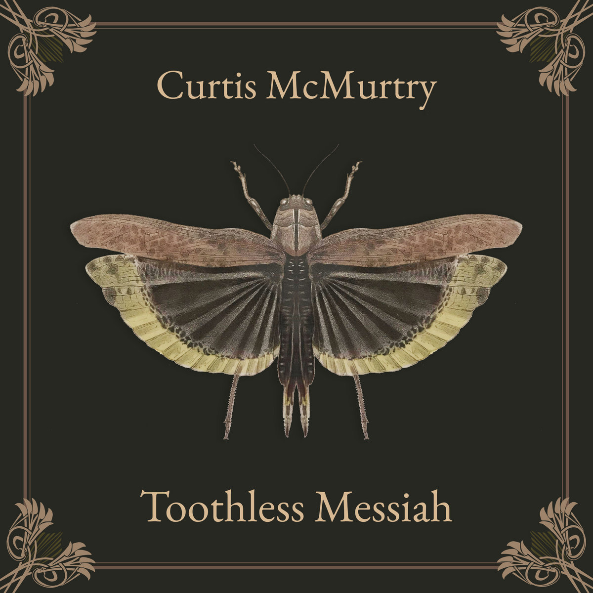 Toothless Messiah | Curtis McMurtry