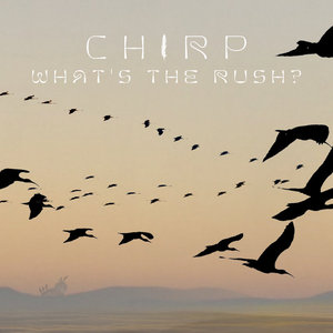 What's The Rush? cover
